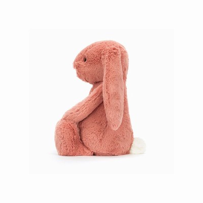 Jellycat Bashful Sorrel Bunnies New Zealand | DKWUB9140